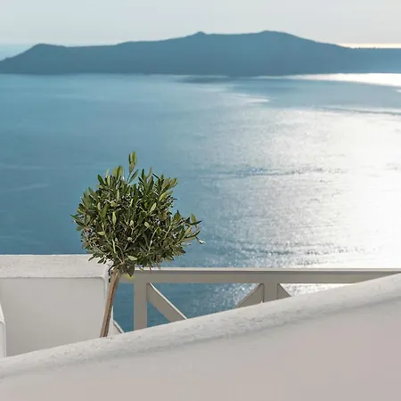 180° Caldera By Stylish * 菲罗斯特法尼